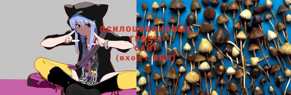 герыч Алзамай